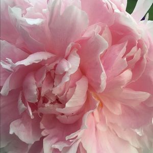 Meet your Posher, Mrgaret